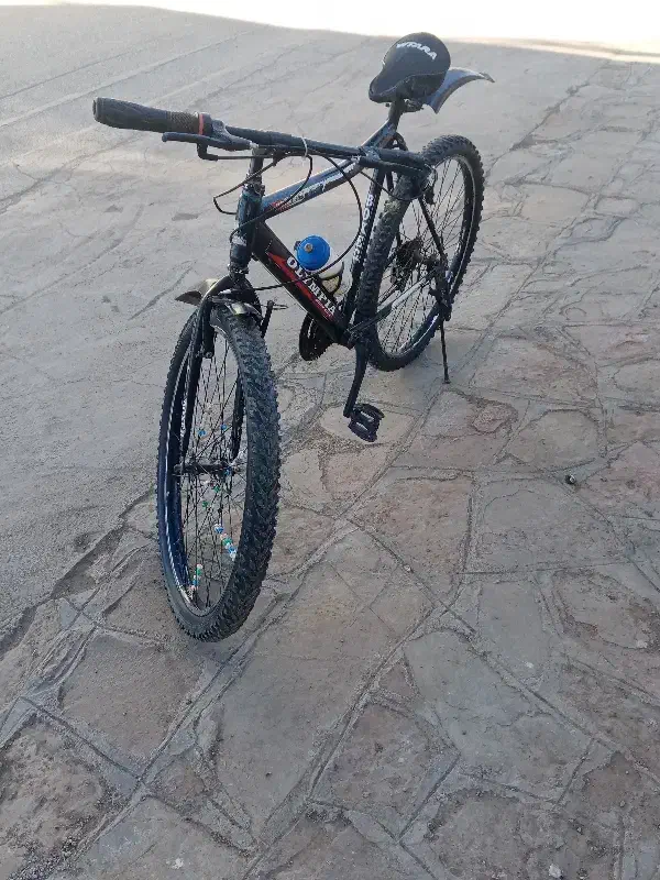 دوچرخه|دوچرخه، اسکیت، اسکوتر|طاغنکوه, |دیوار