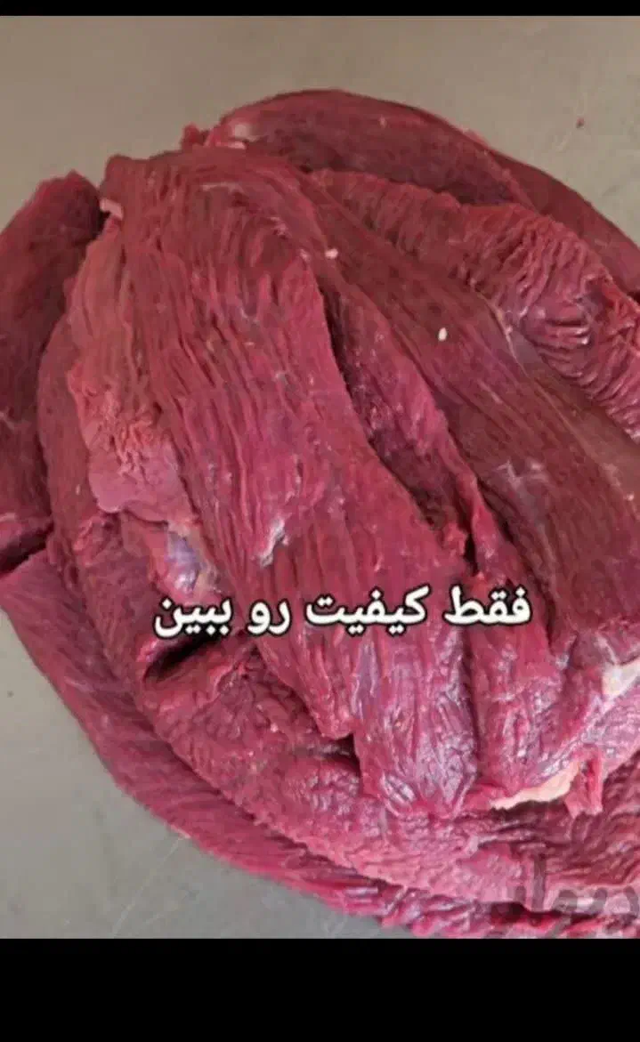 پخش گوشت شترمرغ کشتارروز،گرم|خوردنی و آشامیدنی|لالجین, |دیوار