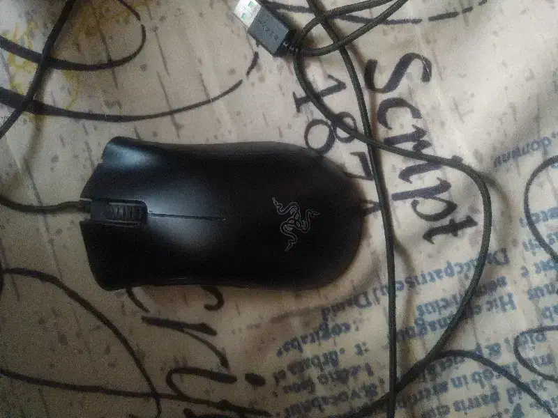 موس ریرزر|قطعات و لوازم جانبی رایانه|رشت, سعدی (تختی)|دیوار