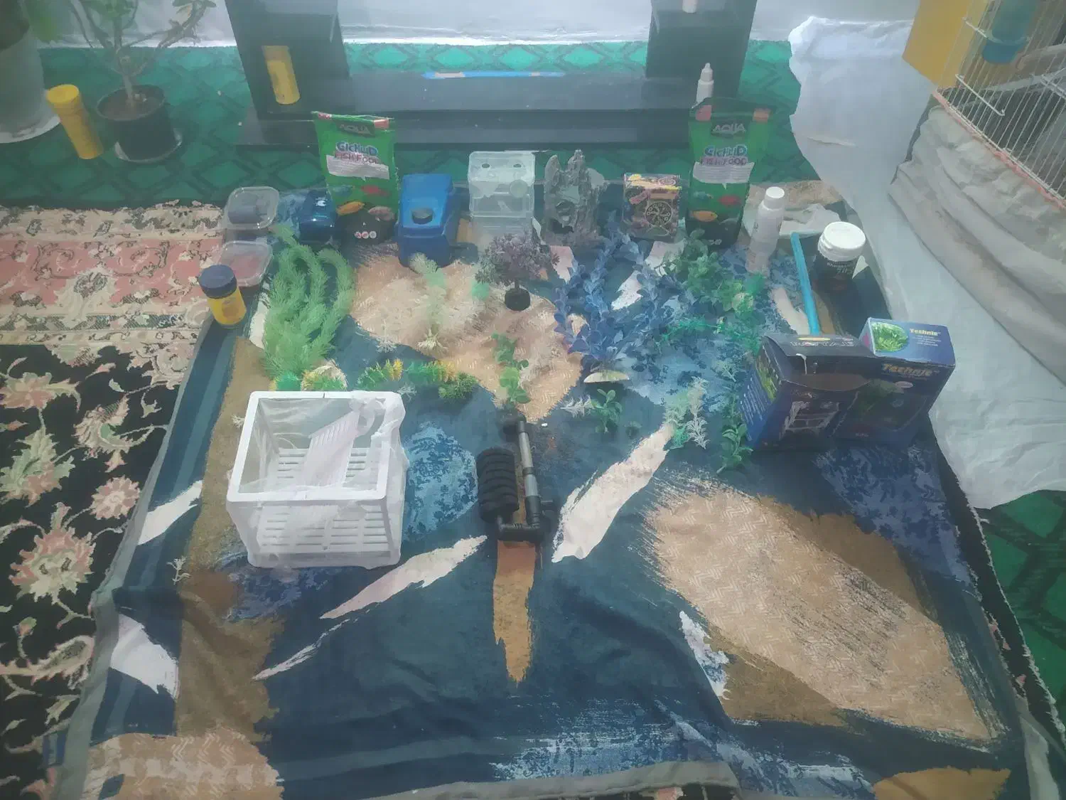 اکواریوم|ماهی|نقده, |دیوار