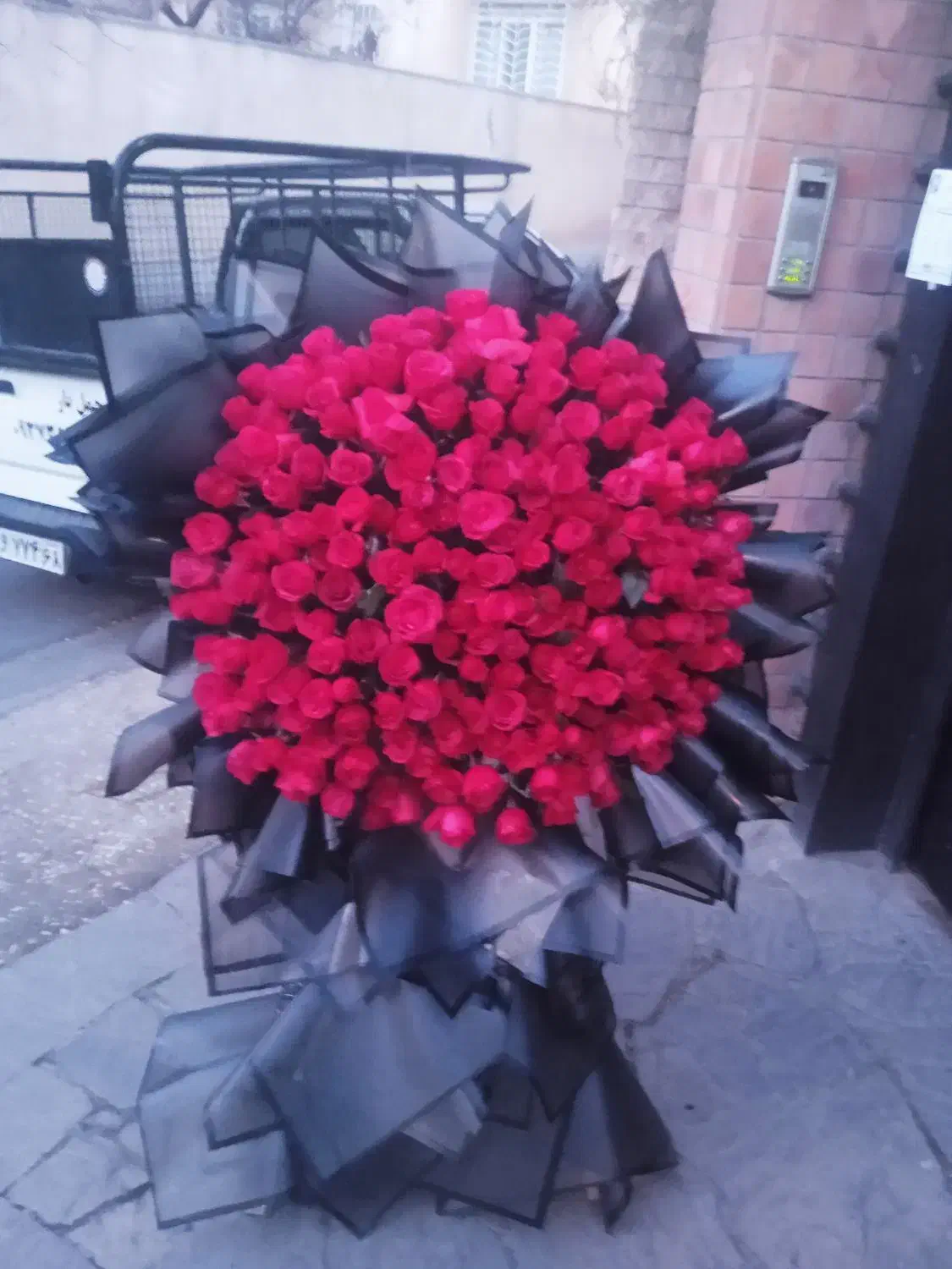 رز هلندی شاخه ای ۲۰|گل و گیاه طبیعی|کرج, فاز ۱ مهرشهر|دیوار