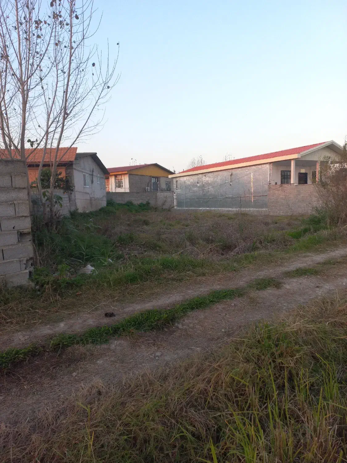 زمین بافت مسکونی جاده آمل فریدونکنار|فروش زمین و ملک کلنگی|دابودشت, |دیوار