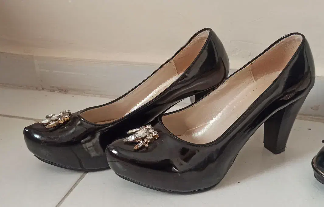 کفش مجلسی،بوت|کیف، کفش، کمربند|پرند, فاز ۶|دیوار