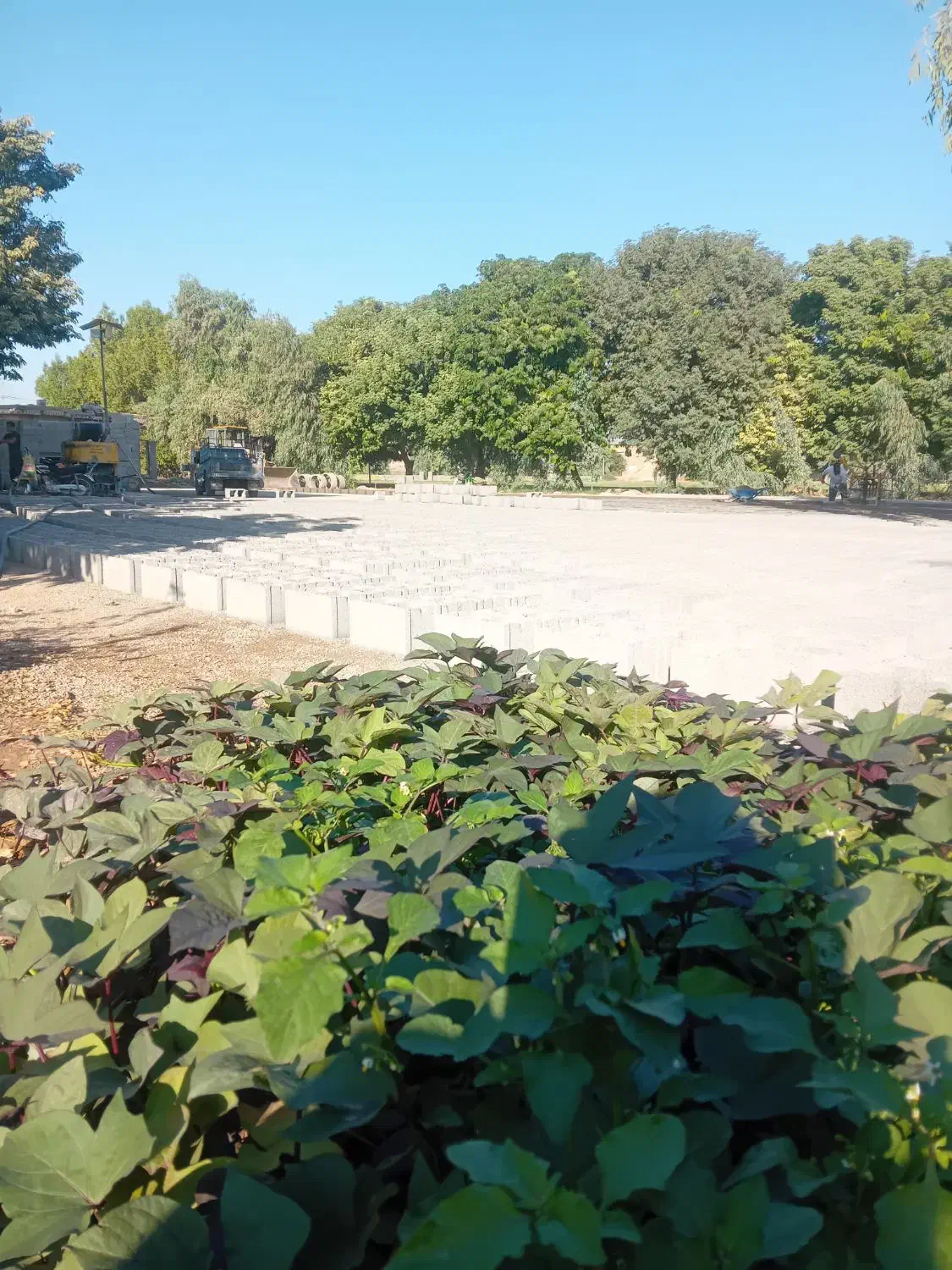 بلوک دیواری ۲۰در۴۰|مصالح و تجهیزات ساختمان|شوش, |دیوار