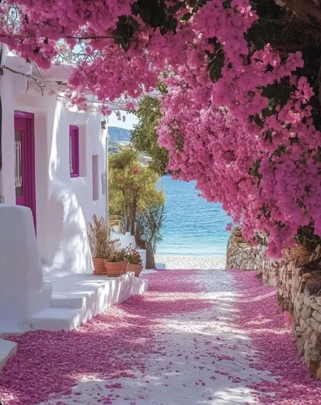 تور مسافرتی و ایران گردی|تور و چارتر|سردشت, |دیوار