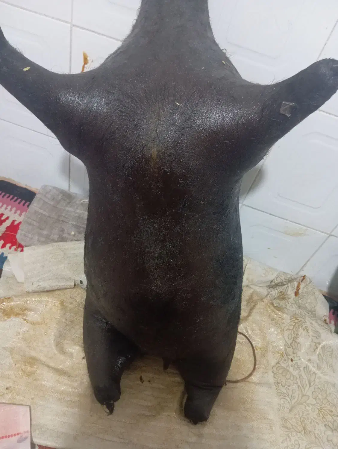 هیزه|سایر لوازم برقی|کوهدشت, |دیوار