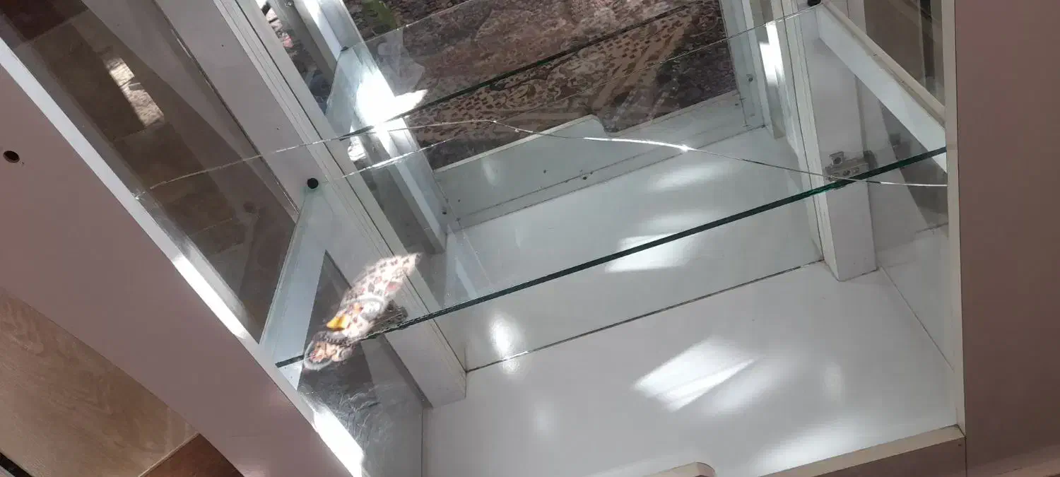 بوفه|بوفه، ویترین، کنسول|نگین شهر, |دیوار