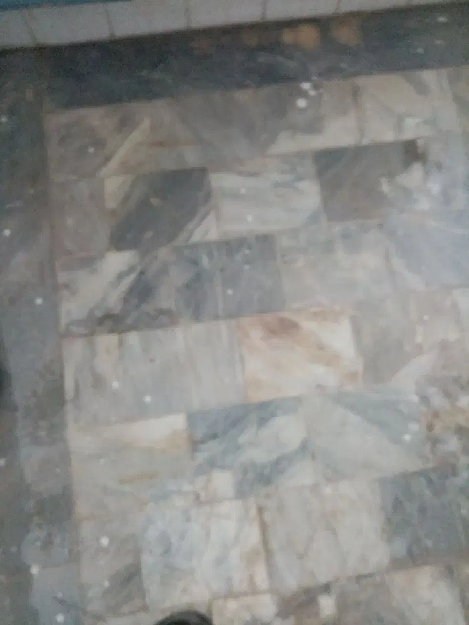 کفسابی کفساب کف سنگ ساب،سرامیک،موزاییک|خدمات نظافت|سبزوار, قلعهنو دهزار|دیوار