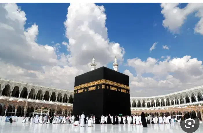 فروش فیش حج واجب|تور و چارتر|اردکان, |دیوار