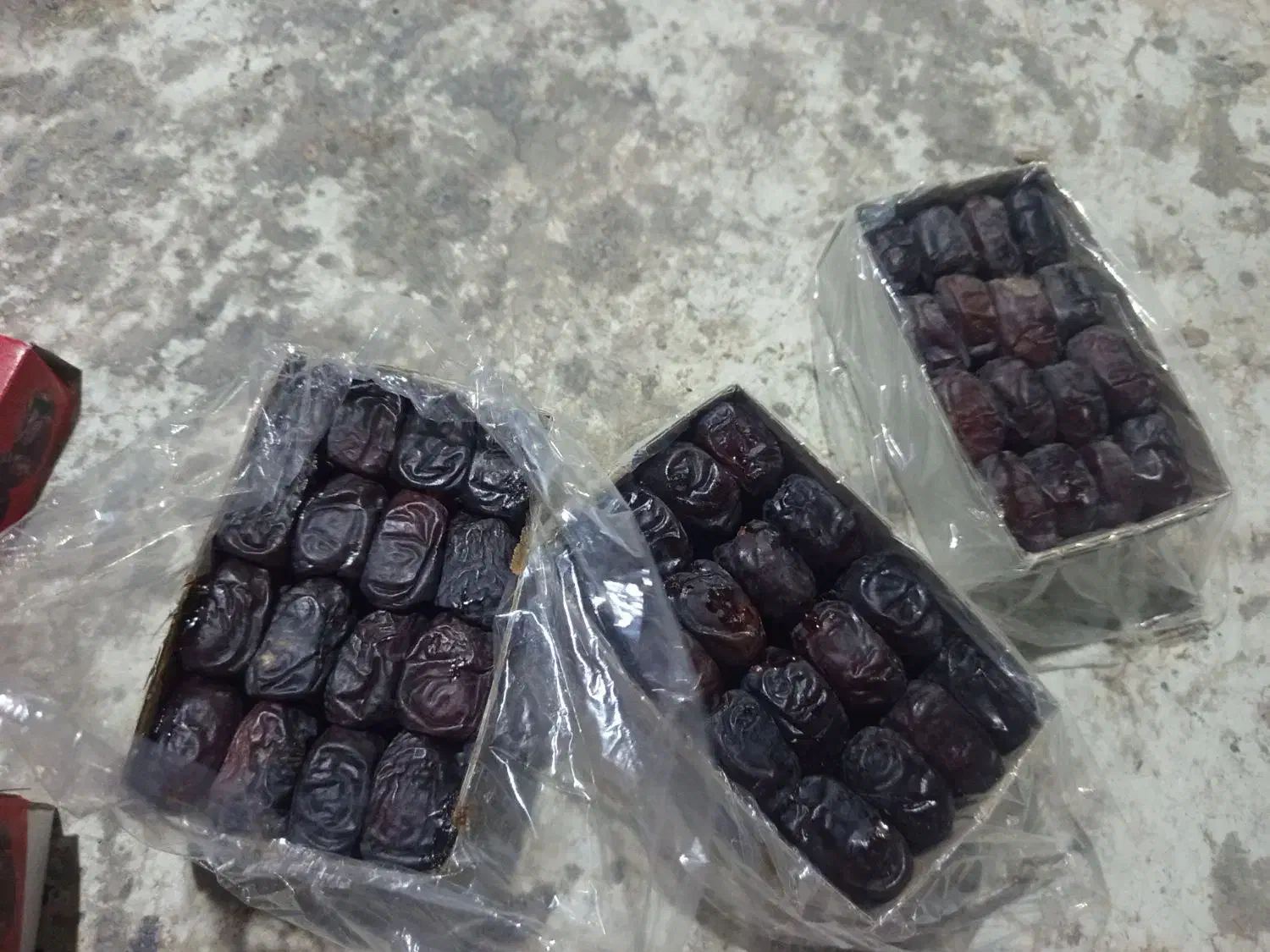 خرما|عمده‌فروشی|سراوان, |دیوار