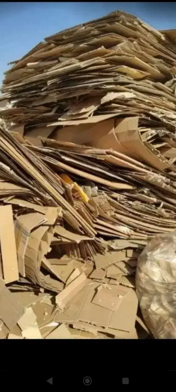 خریدارروزنامه باطله کاغذکتاب دفتر باطله عمده وخرده|خدمات پیشه و مهارت|تهران, ونک|دیوار