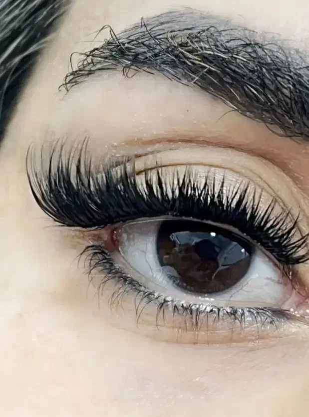 کاشت مژه هیدن وفیشر|خدمات آرایشگری و زیبایی|رشت, معلولین|دیوار