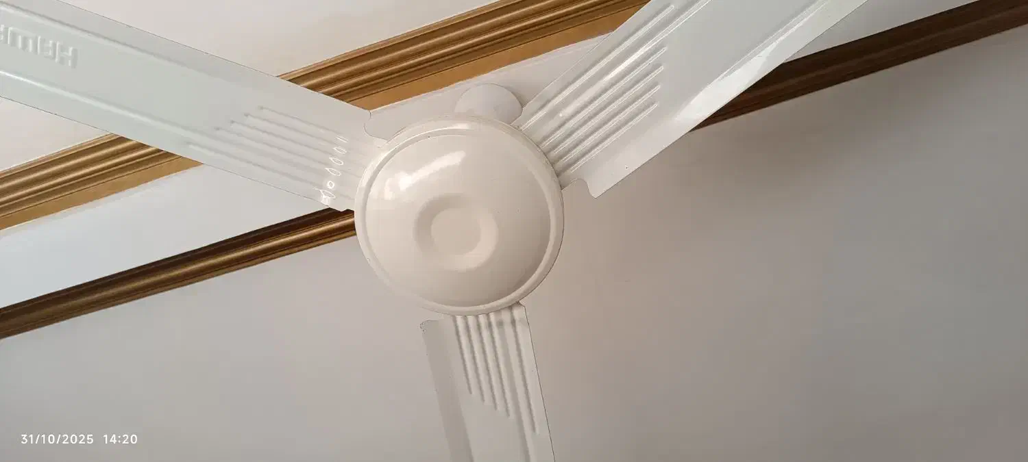 پنکه سقفی|پنکه و تصفیهکنندهٔ هوا|گرگان, |دیوار