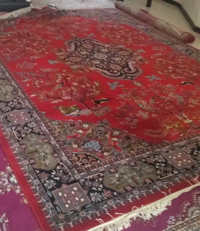 فرش|فرش|فشاپویه, |دیوار