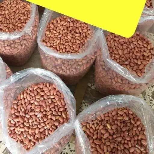 بادام زمینی|خوردنی و آشامیدنی|تهران, امجدیه (خاقانی)|دیوار