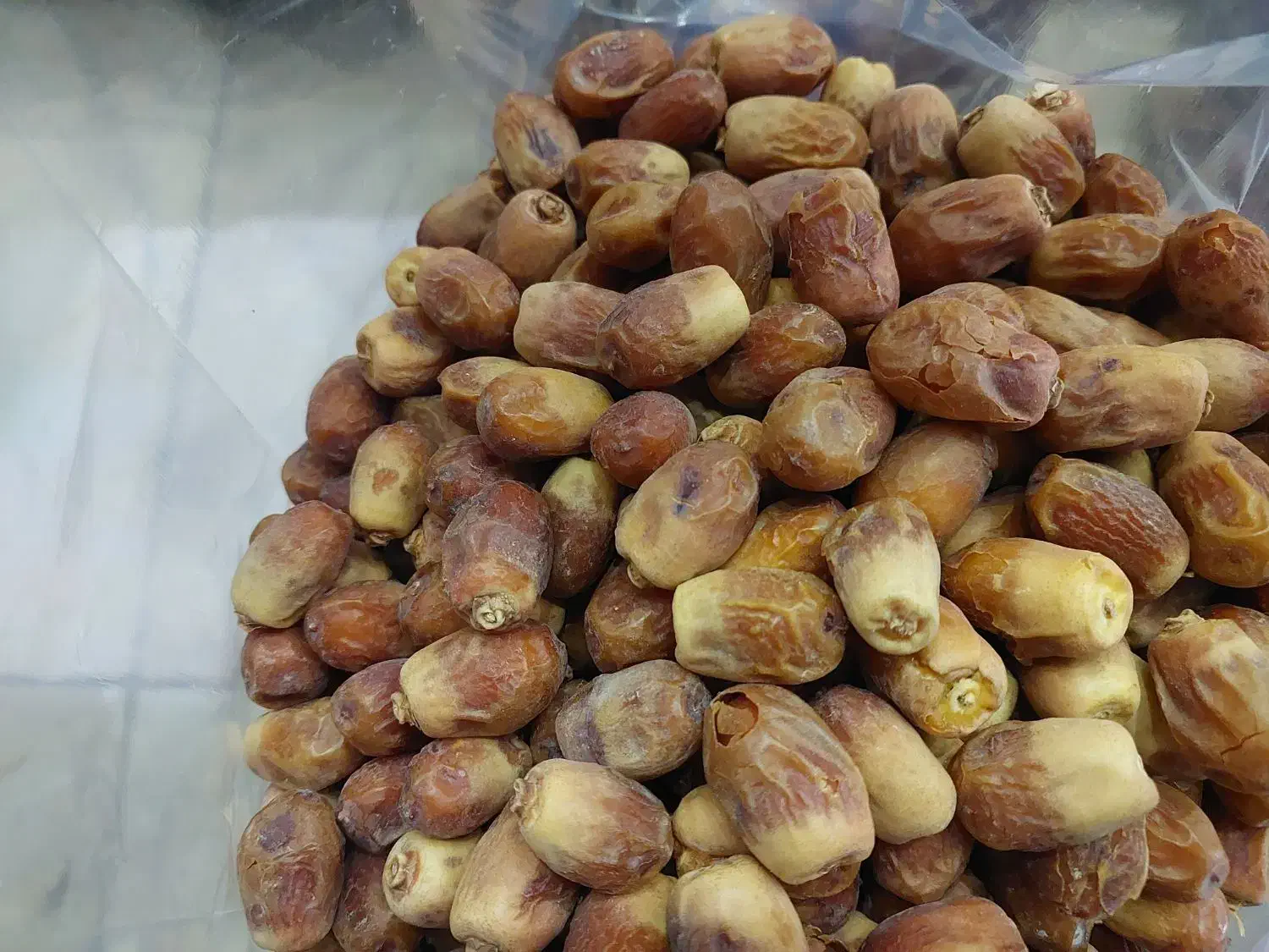 قصب درجه ۲|خوردنی و آشامیدنی|خنج, |دیوار