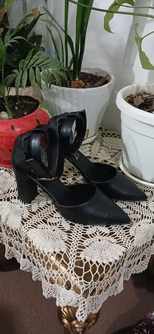 کفش مجلسی|کیف، کفش، کمربند|رودسر, |دیوار