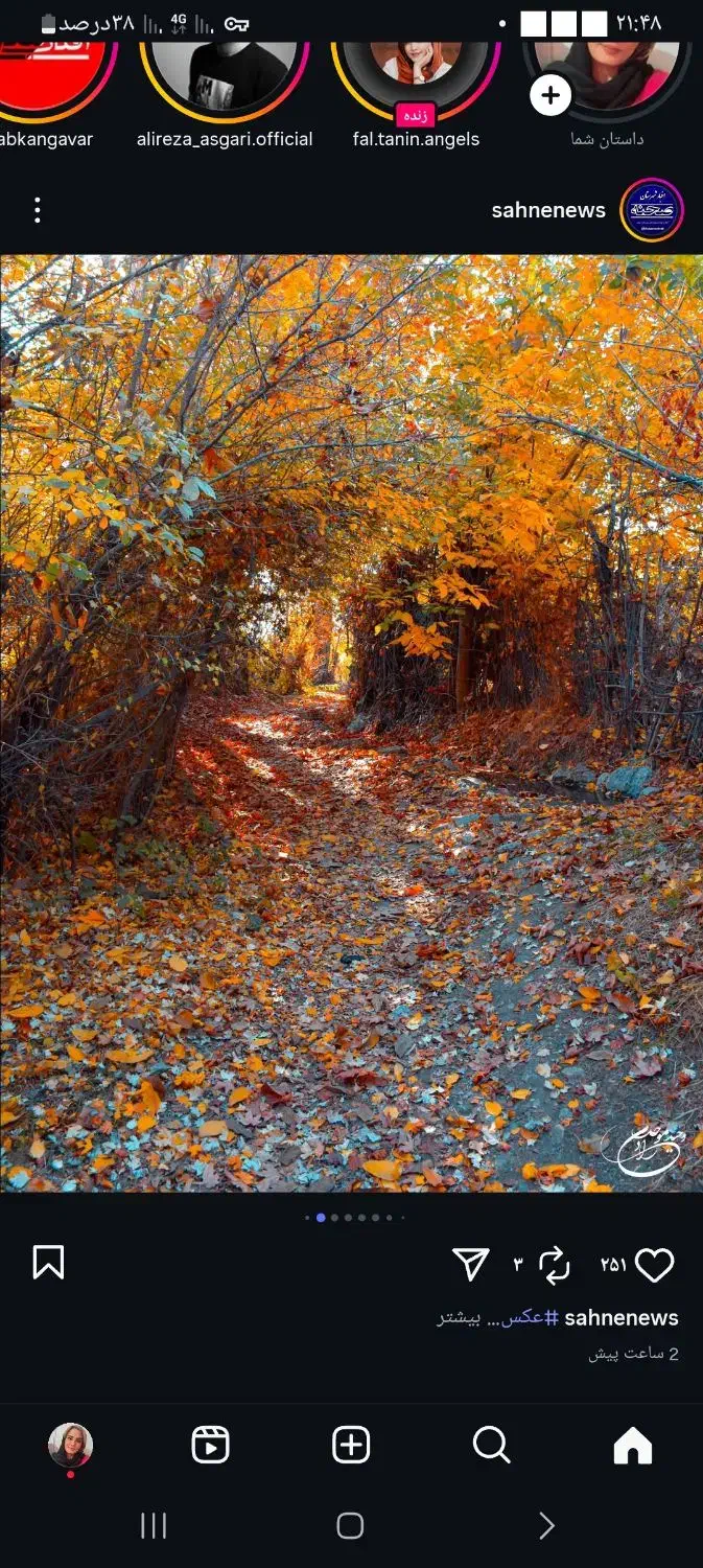 کاه نخود|لوازم جانبی حیوانات|کنگاور, |دیوار