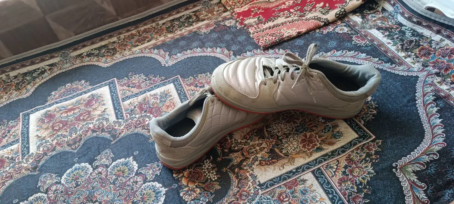 کفش ورزشی|تجهیزات ورزشی|هشترود, |دیوار