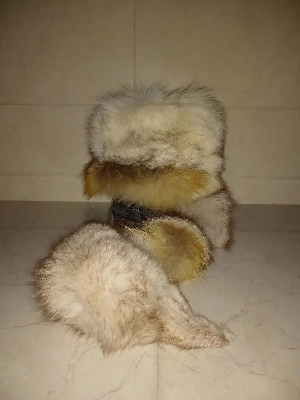 کلاه روسی اورجینال|لباس|ری, دولتآباد|دیوار