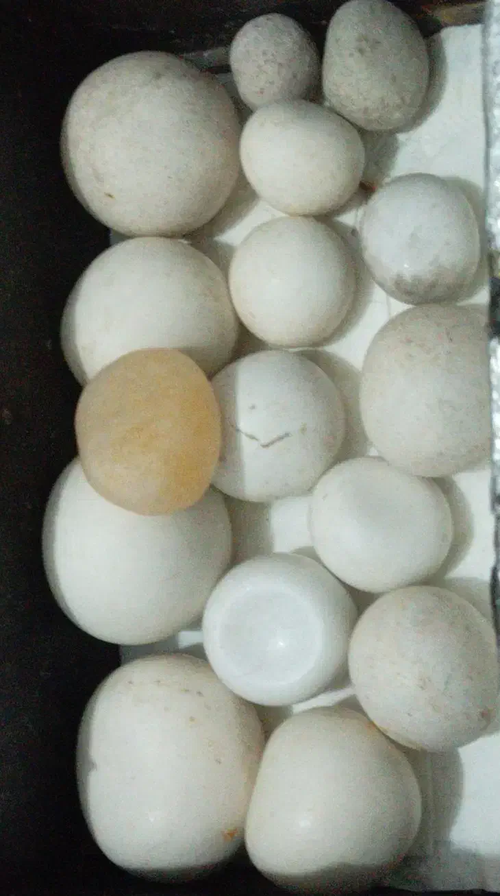 باسلام سنگهای الماس سنگ آسیاب اصلی وسخت وزیبا|جواهرات|نجفآباد, یزدانشهر|دیوار