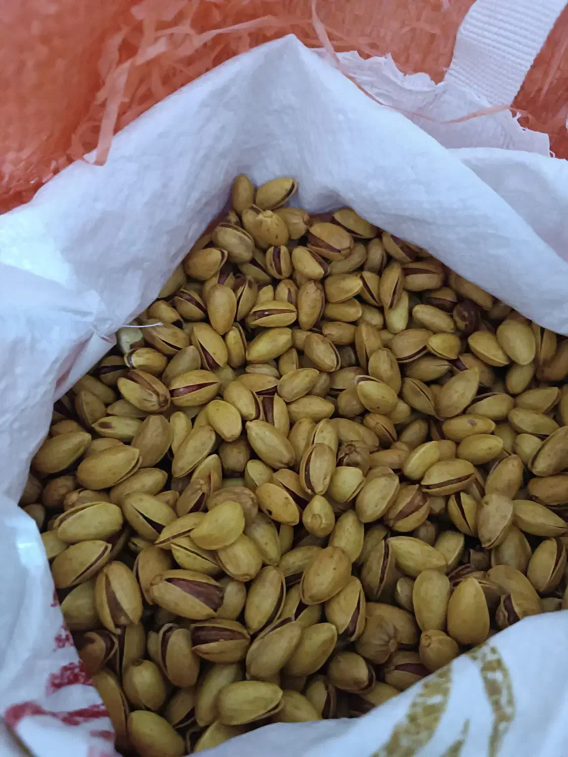 حراج|حراج|مشهد, ایثارگران|دیوار