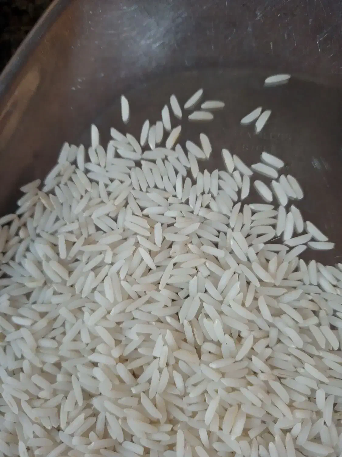 برنج هاشمی تظمینی|خوردنی و آشامیدنی|رشت, آزادگان|دیوار