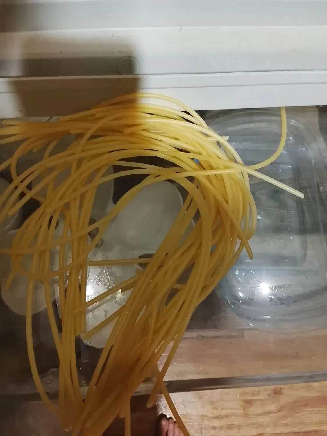 لوازم ضروری پرنده همه چیز موجوده حتی اسباببازی|لوازم جانبی حیوانات|مشهد, دانشجو|دیوار