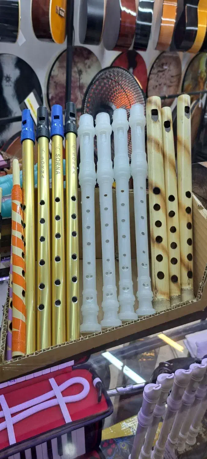 انواع فلوت|سازهای بادی|اصفهان, ارزنان|دیوار