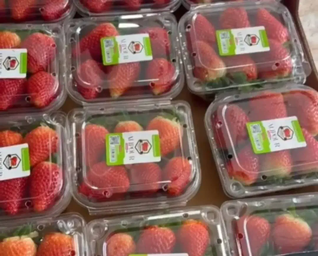 شاتوت انبه|خوردنی و آشامیدنی|تهران, وصفنارد|دیوار