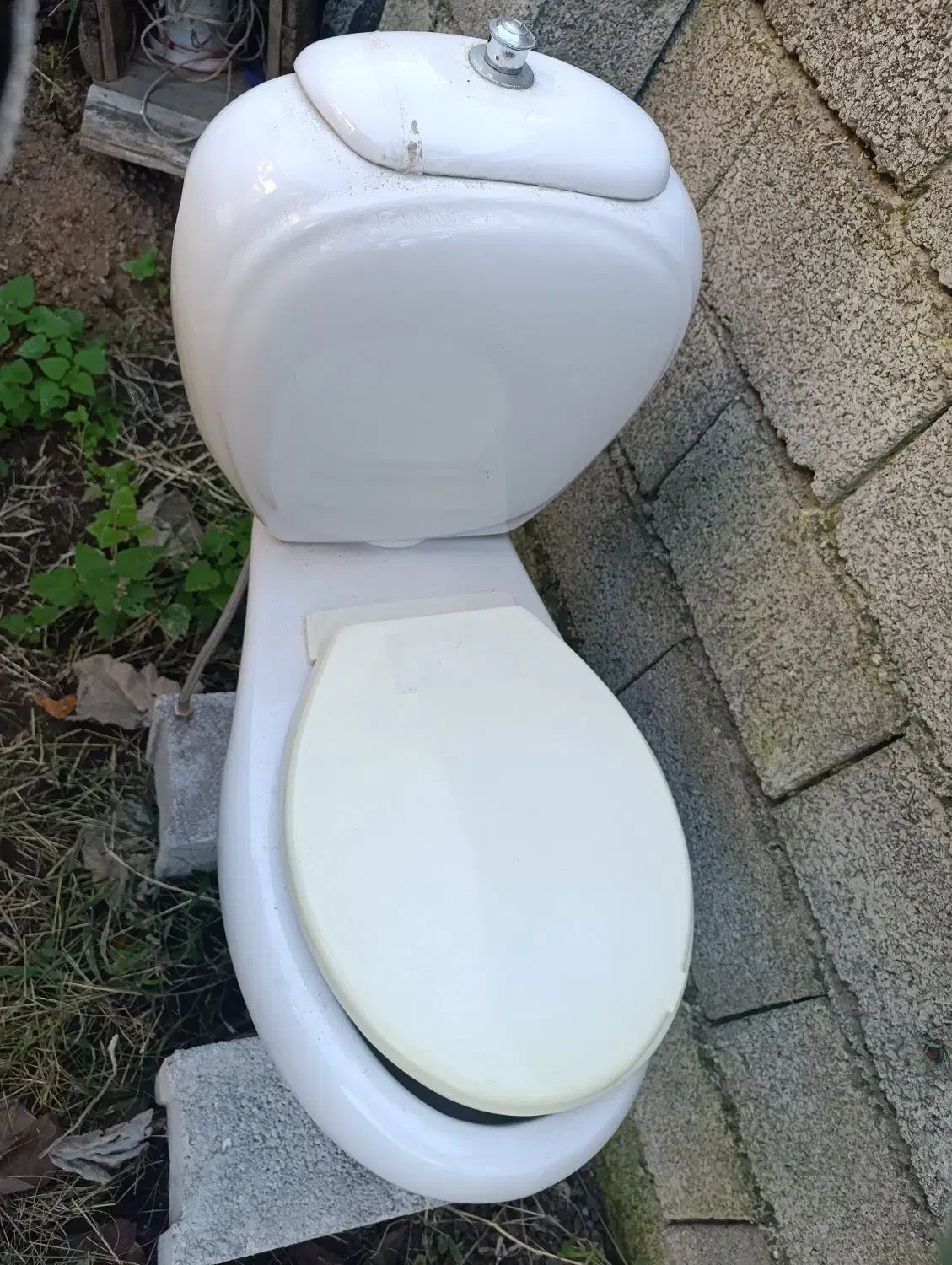 توالت فرنگی سالم|لوازم سرویس بهداشتی|پرهسر, |دیوار