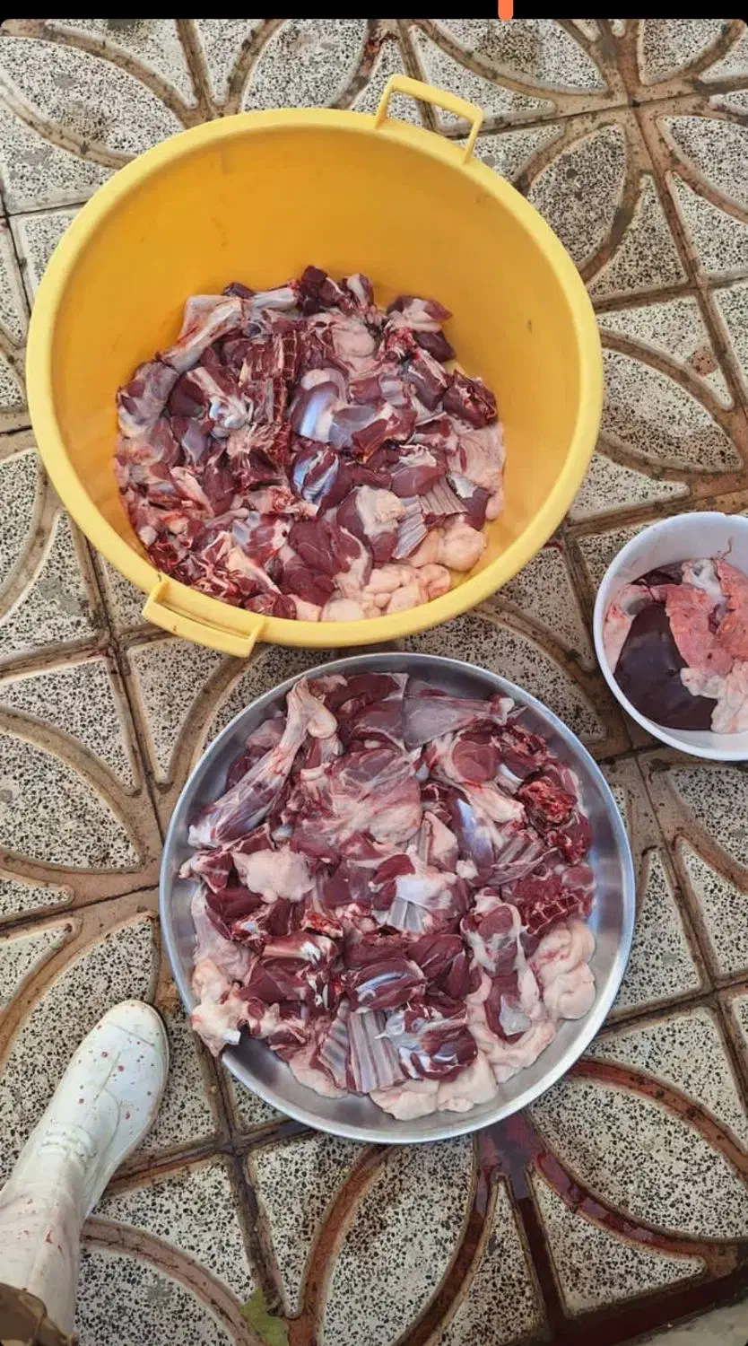 آقای قصاب  (تمیز و مرتب)|خدمات پیشه و مهارت|قم, دروازه چوبی|دیوار