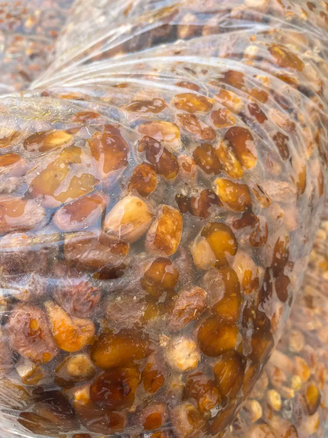 کشمش آفتابی بونات و خرما با قند بالا درجه یک|عمده‌فروشی|اصفهان, شهرک کاوه|دیوار