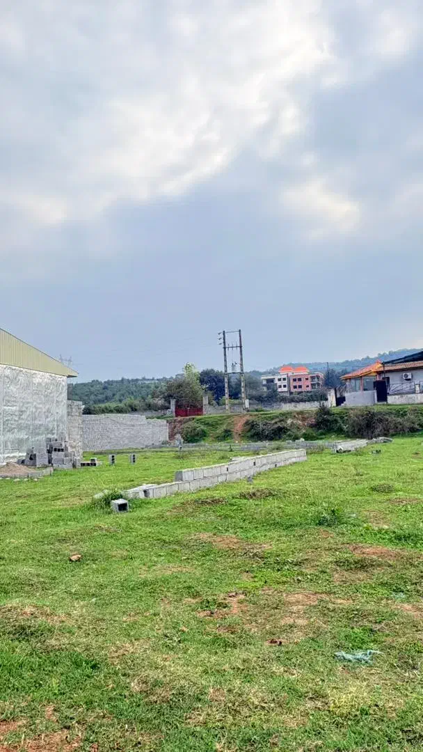 قابلیت ساخت ۱۸۰ متر ویو جنگل|فروش زمین و ملک کلنگی|بابکان, |دیوار