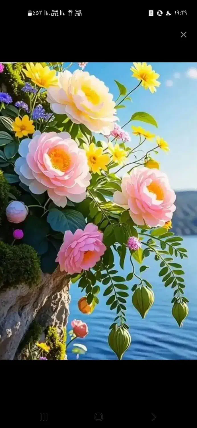 راهنمایی|فعالیت داوطلبانه|کرج, حیدرآباد|دیوار