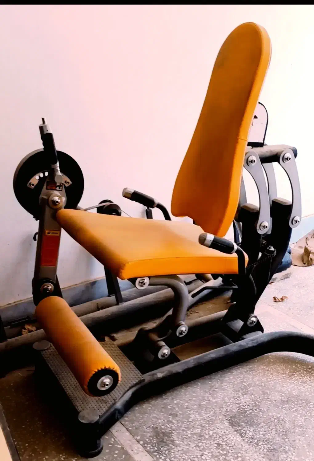 22 قلم دستگاه بدنسازی|تجهیزات ورزشی|ساری, |دیوار