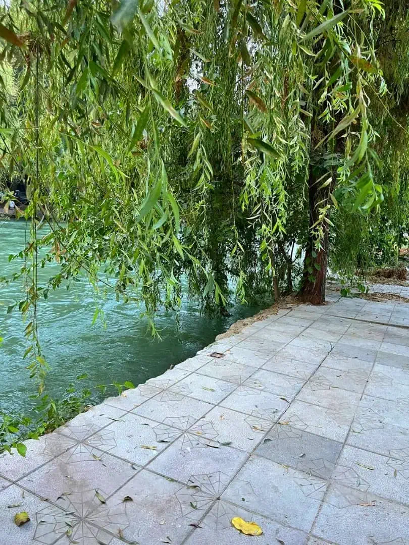 اجاره انواع ویلا و سویت باغبادران باغبهادران|اجارهٔ کوتاه‌مدت ویلا و باغ|باغ بهادران, |دیوار