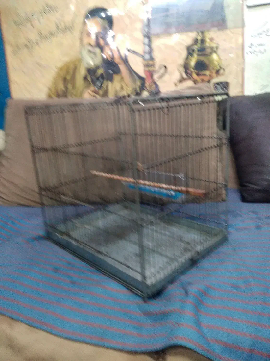 تعدادی قفس سره.۱عددقفس جوجه پرون|لوازم جانبی حیوانات|ری, شهید بهشتی|دیوار