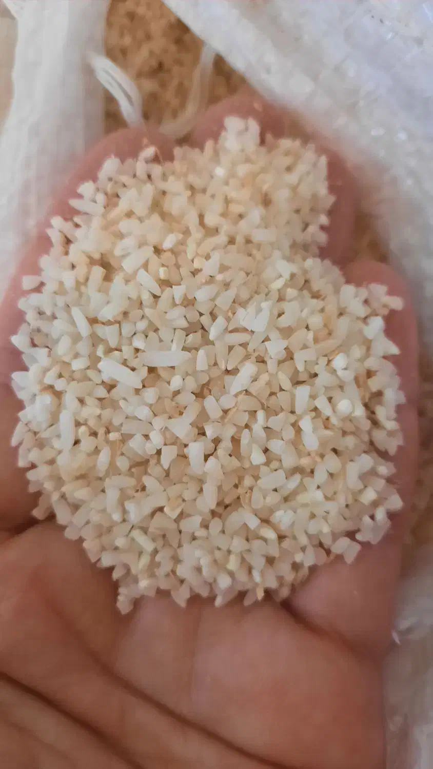 ۲۲کیلو نمیدانه هاشمی|خوردنی و آشامیدنی|رشت, پل تالشان|دیوار