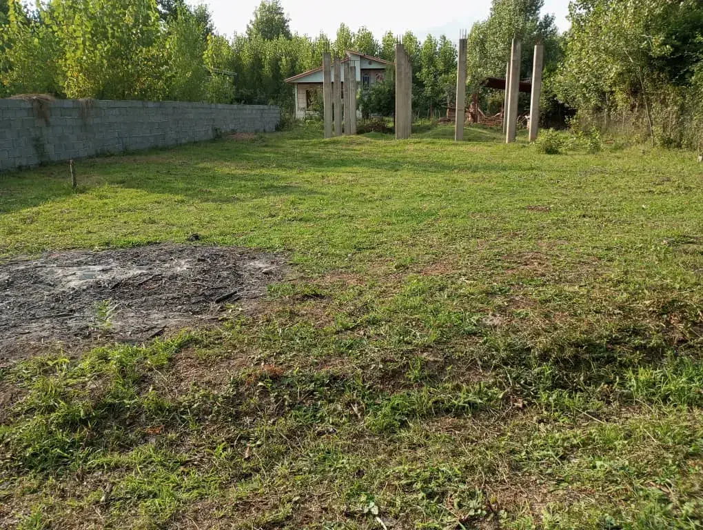 500متر زمین سند تک برگ با پروانه شاخت|فروش زمین و ملک کلنگی|شاندرمن, |دیوار