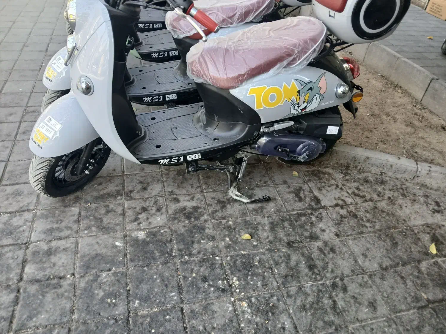 اسکوتر(ms1) 50 مدل ۴۰۴ صفرخشک با پلاک(مناسب بانوان|موتورسیکلت|تهران, سبلان (لشگر)|دیوار