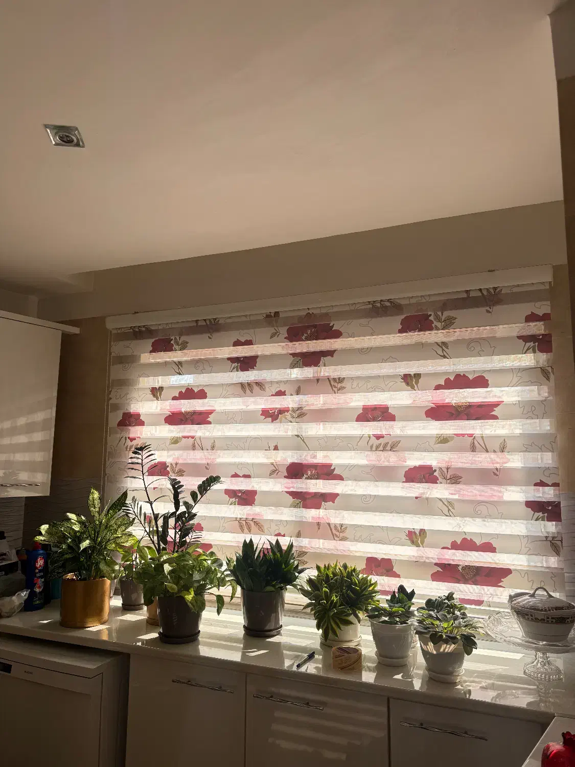 پرده آشپزخونه زبرا|پرده، رانر، رومیزی|ساری, |دیوار