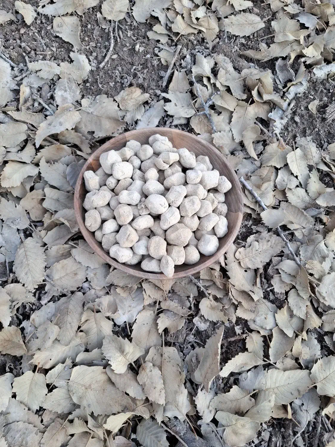 کلگ خام|عمده‌فروشی|یاسوج, |دیوار