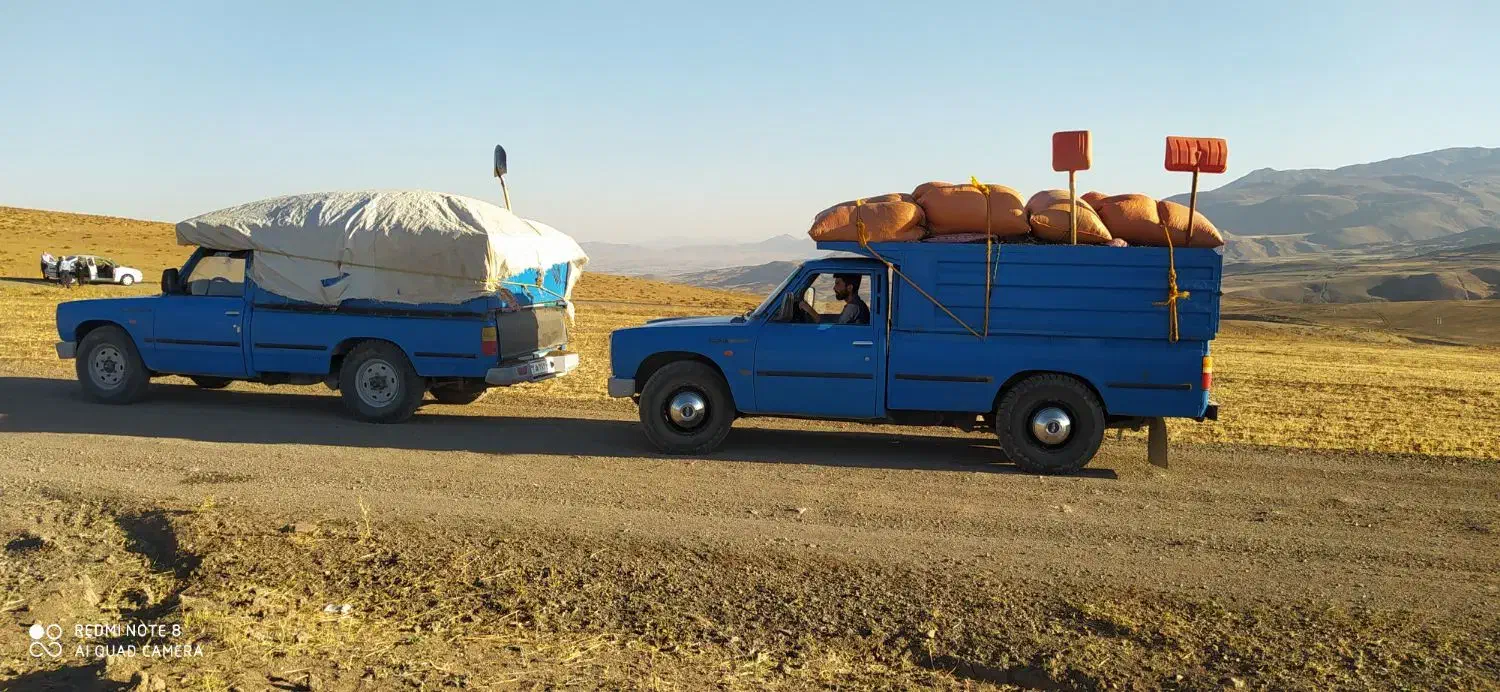 فروش پهنه گوسفند به باغداری عزیز اورمیه|خدمات باغبانی و درختکاری|چالدران, |دیوار