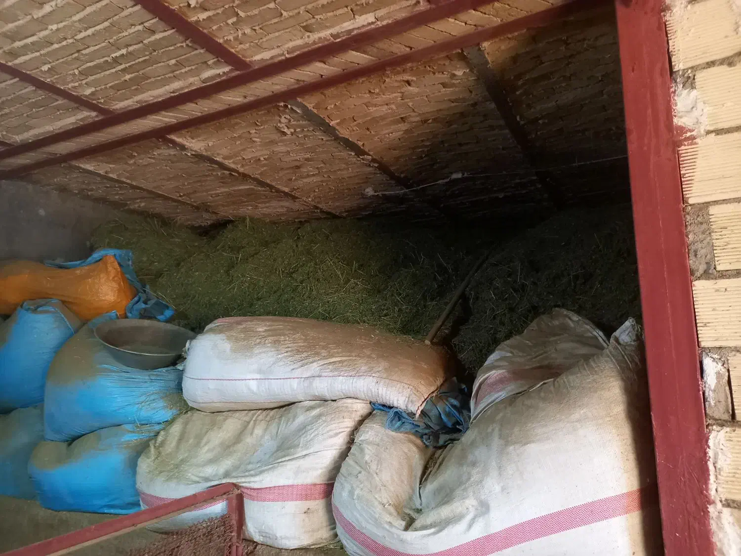 حدود ۲۰خلوارکاه سفید دیم وگل یونجه وشبدرفروشی|لوازم جانبی حیوانات|بروجرد, |دیوار