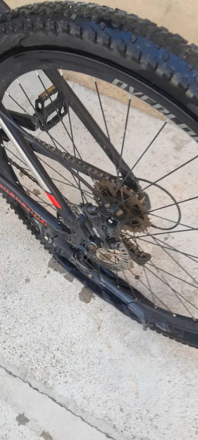 دوچرخه|دوچرخه، اسکیت، اسکوتر|سلطانیه, |دیوار