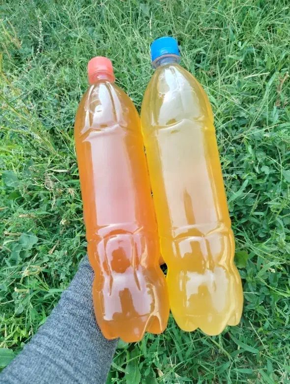 آبغوره طبیعی|خوردنی و آشامیدنی|تهران, عباسی|دیوار