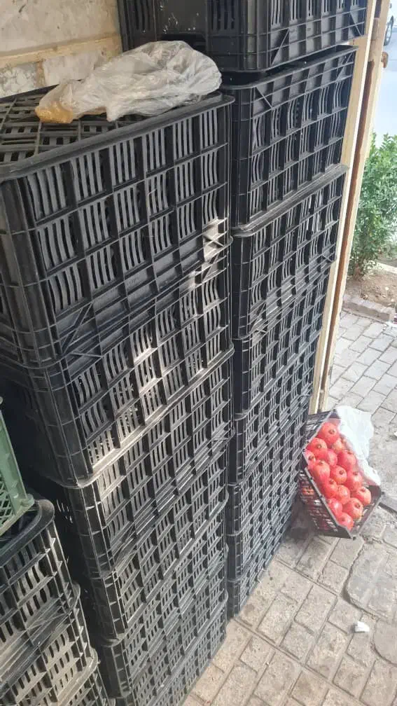 سبدگوجه|ظروف نگهدارنده، پلاستیکی، یک‌بارمصرف|مشهد, شهرک امام هادی (شهرک غرب)|دیوار