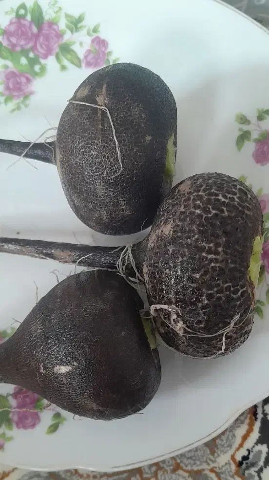 داروی سنگ کلیه|خوردنی و آشامیدنی|دهگلان, |دیوار