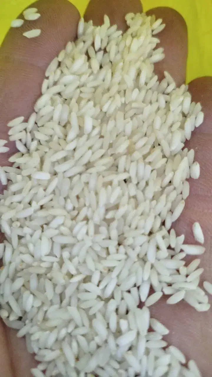 برنج عنبربو|خوردنی و آشامیدنی|فارسان, |دیوار